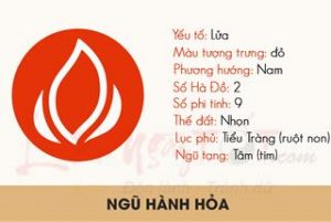 Hanh Hoa la gi Menh Hoa sinh nam nao Nhung dieu co ban nhat ve hanh Hoa - Xây Lăng Mộ đá, Xây Mộ đá