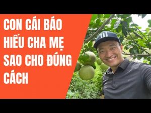 con cai se bao hieu cha me nhu the nao - Xây Lăng Mộ đá, Xây Mộ đá