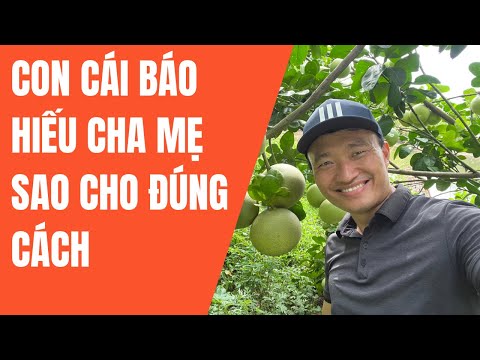 con cai se bao hieu cha me nhu the nao - Xây Lăng Mộ đá, Xây Mộ đá